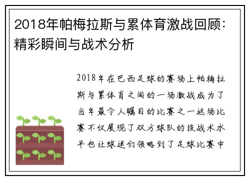 2018年帕梅拉斯与累体育激战回顾：精彩瞬间与战术分析